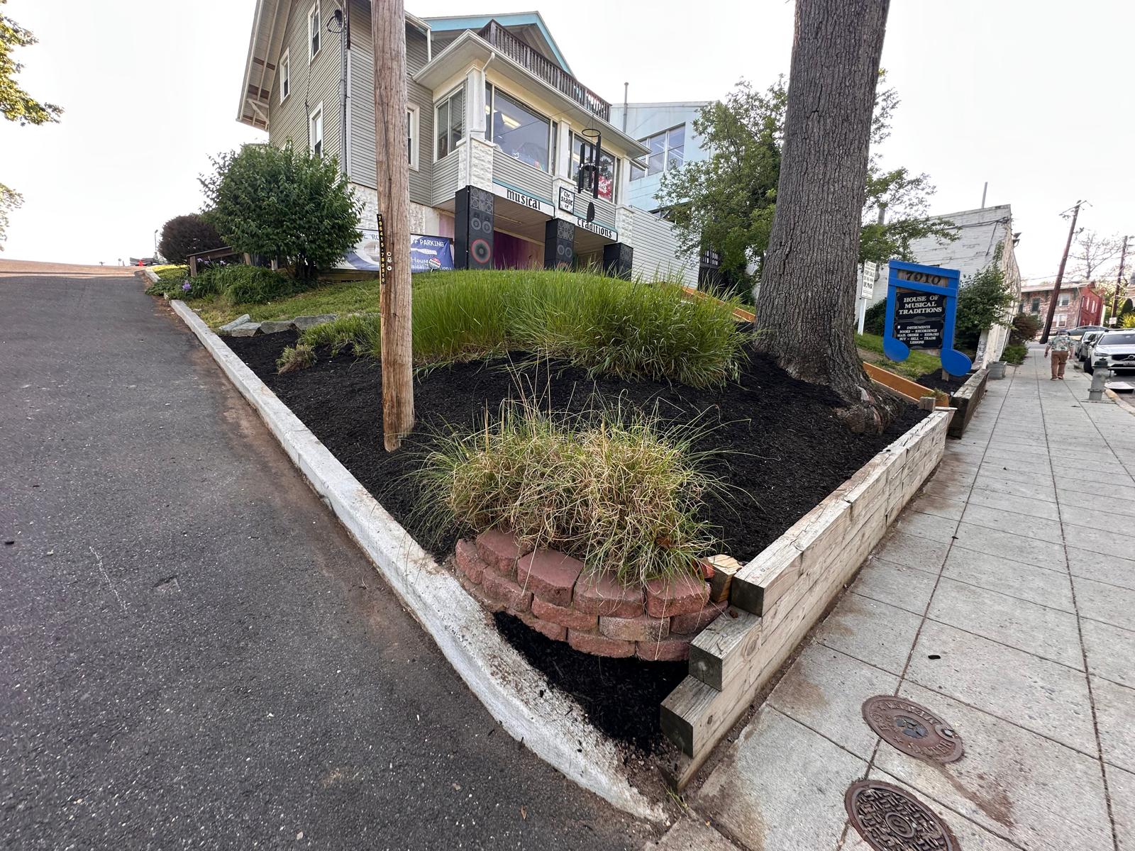 Commercial landscape with fresh black mulch and ornamental grasses