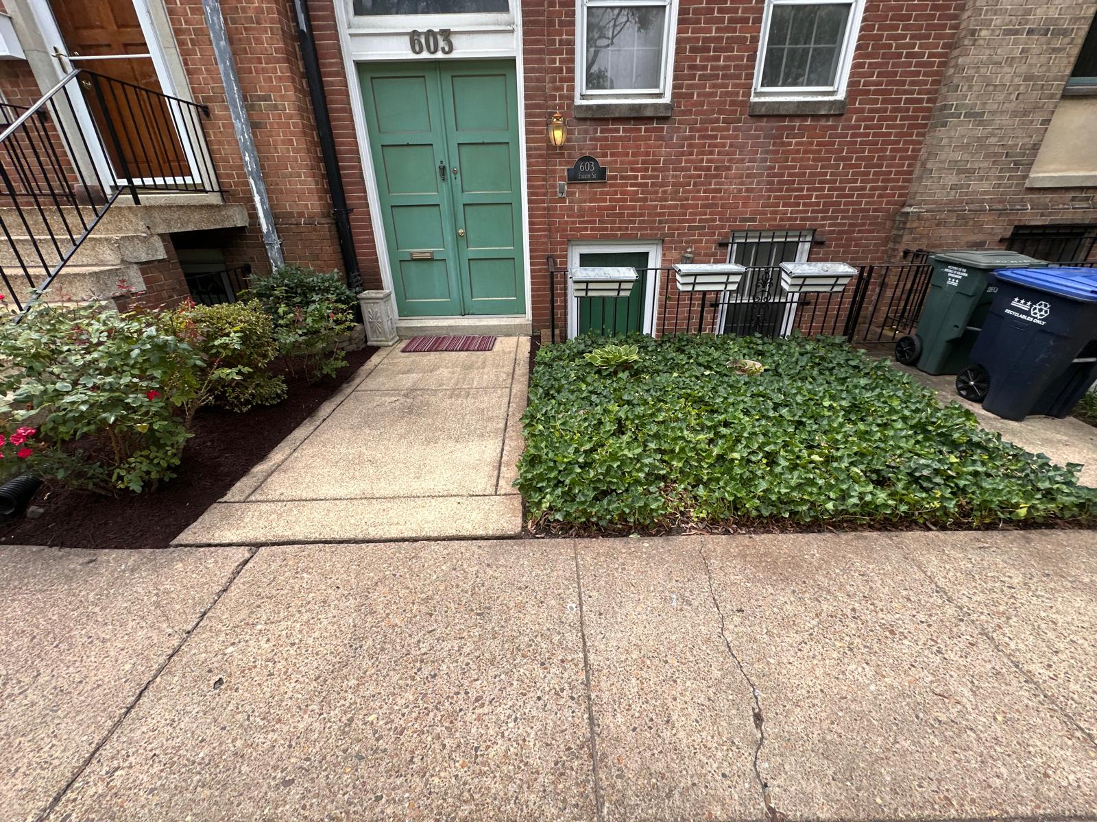 Clean residential entry walkway with trimmed plants and fresh mulch