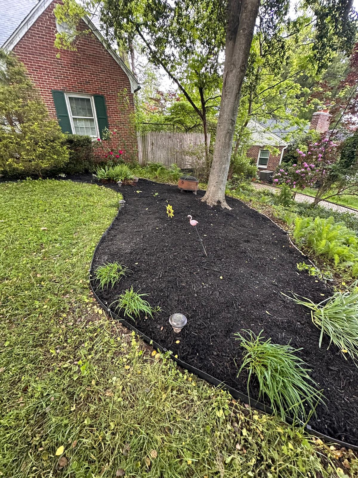 Residential garden bed with fresh black mulch and curved edging