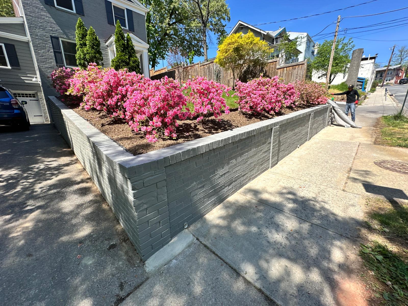 Gray retaining wall with blooming pink shrubs